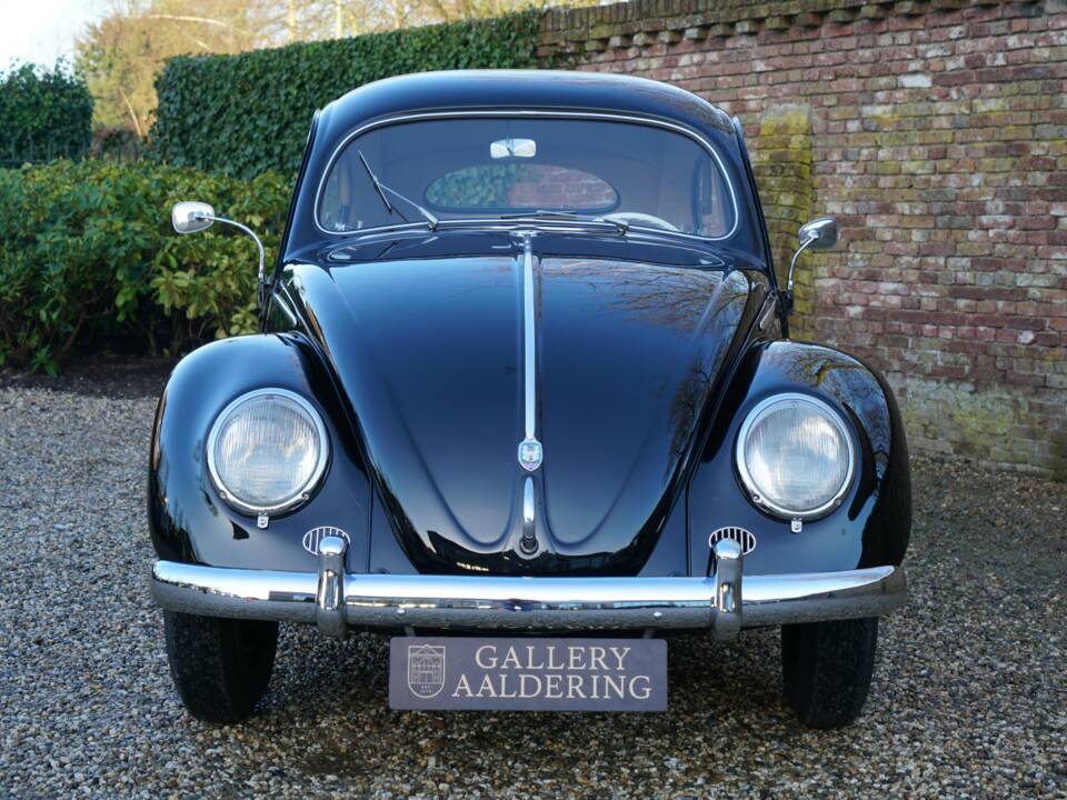 Image 5/50 of Volkswagen Beetle 1200 Standard "Oval" (1955)