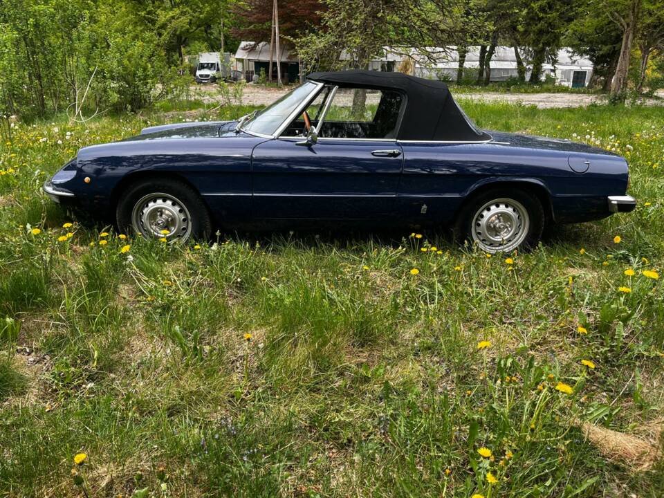 Immagine 2/14 di Alfa Romeo Spider 1300 Junior (1972)