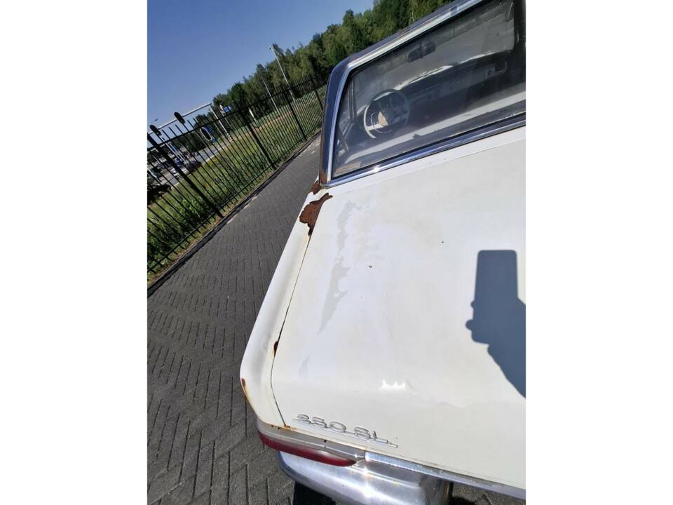 Image 13/50 de Mercedes-Benz 250 SL (1967)
