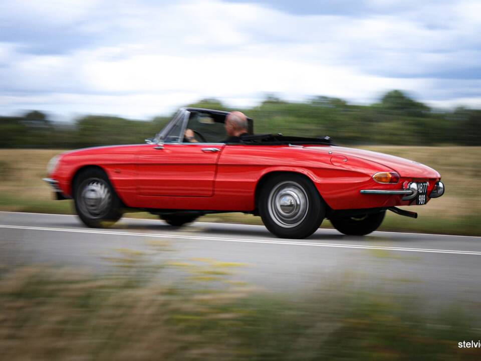 Afbeelding 35/37 van Alfa Romeo 1600 Spider Duetto (1966)