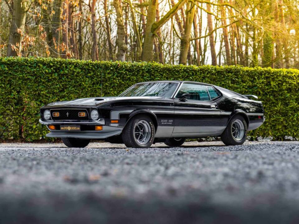 Immagine 10/48 di Ford Mustang Boss 351 (1970)