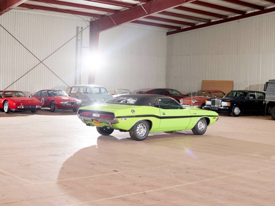 Immagine 7/71 di Dodge Challenger R/T (1970)