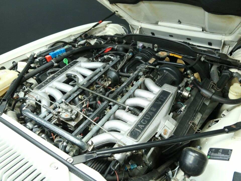 Image 44/50 de Jaguar XJS 5.3 V12 (1992)