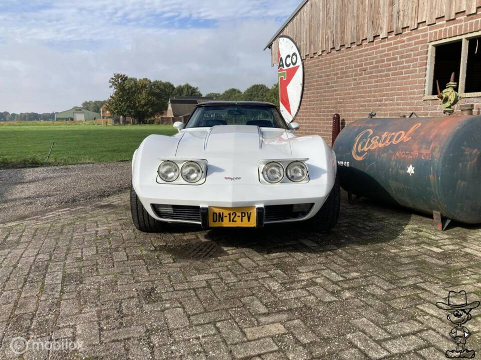 Afbeelding 5/50 van Chevrolet Corvette Sting Ray (1979)