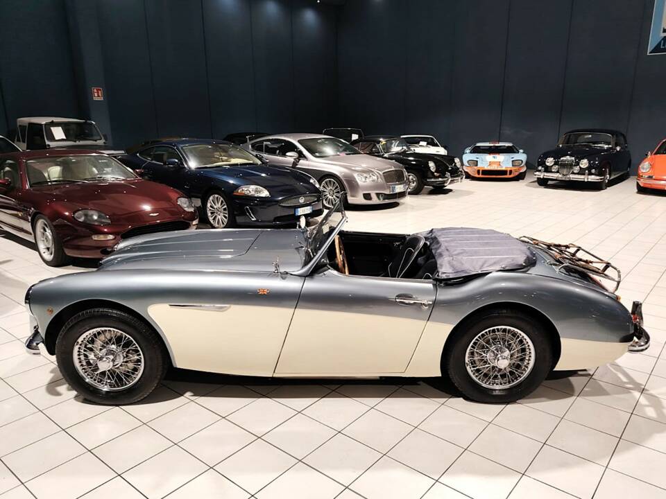 Imagen 7/72 de Austin-Healey 100/6 (BN4) (1957)