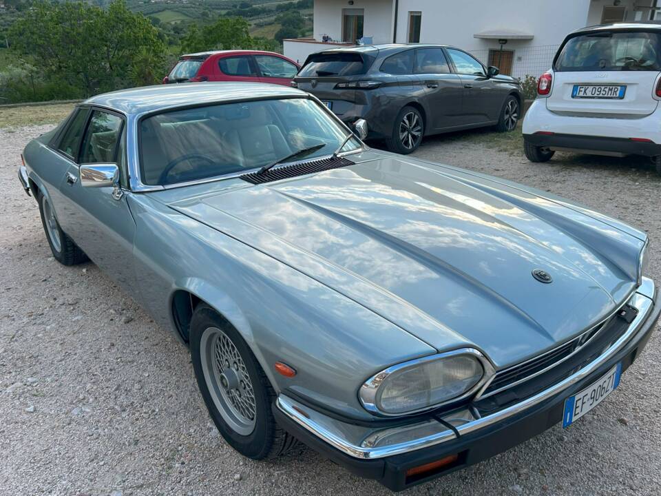 Image 3/38 de Jaguar XJ-S 3.6 (1990)