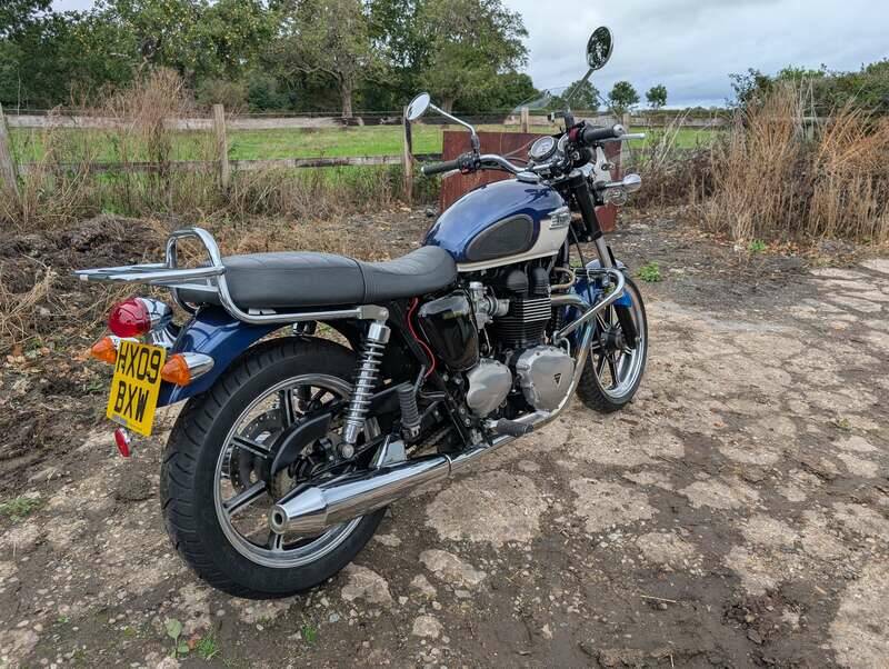 Bild 7/24 von Triumph DUMMY (2009)