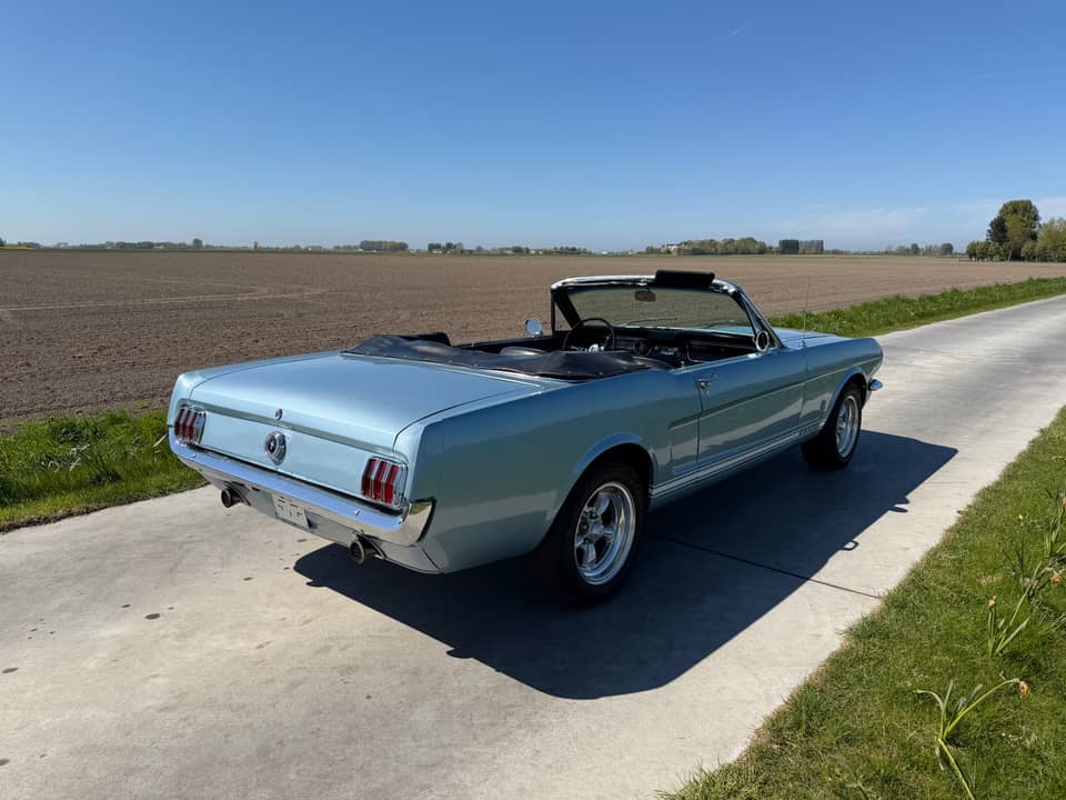 Bild 58/99 von Ford Mustang 289 (1965)