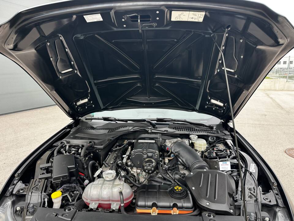 Image 37/44 of Ford Shelby GT/H (2017)