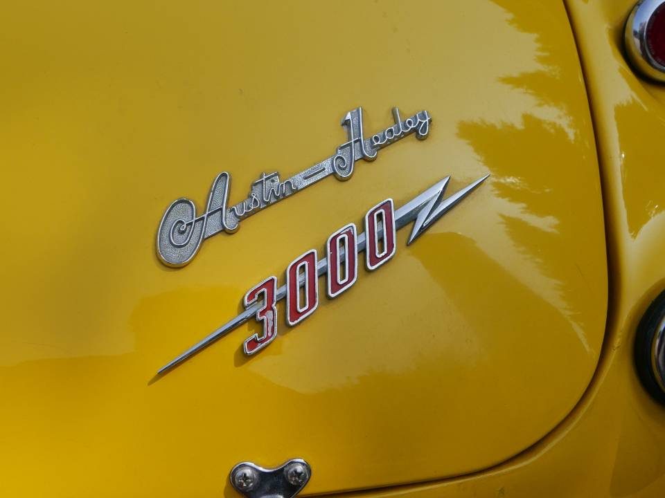 Immagine 13/52 di Austin-Healey 3000 Mk I (BN7) (1959)