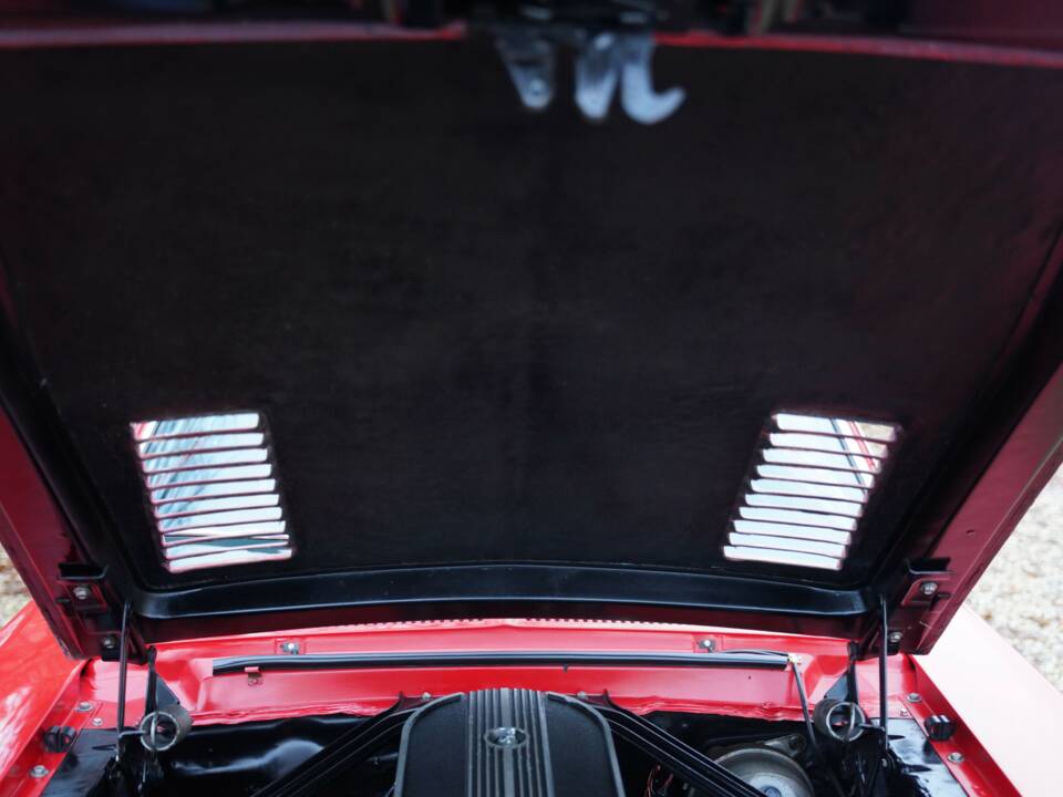Image 50/50 de Ford Shelby GT 350 (1968)