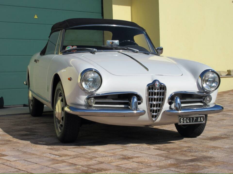 Bild 8/30 von Alfa Romeo Giulietta Spider (1961)