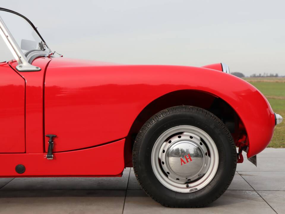 Bild 16/50 von Austin-Healey Sprite Mk I (1959)