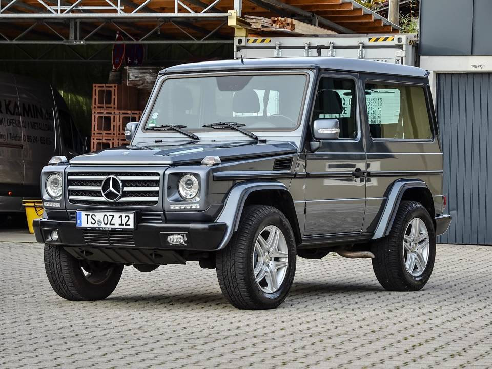 Image 1/34 of Mercedes-Benz G 350 CDI (2010)