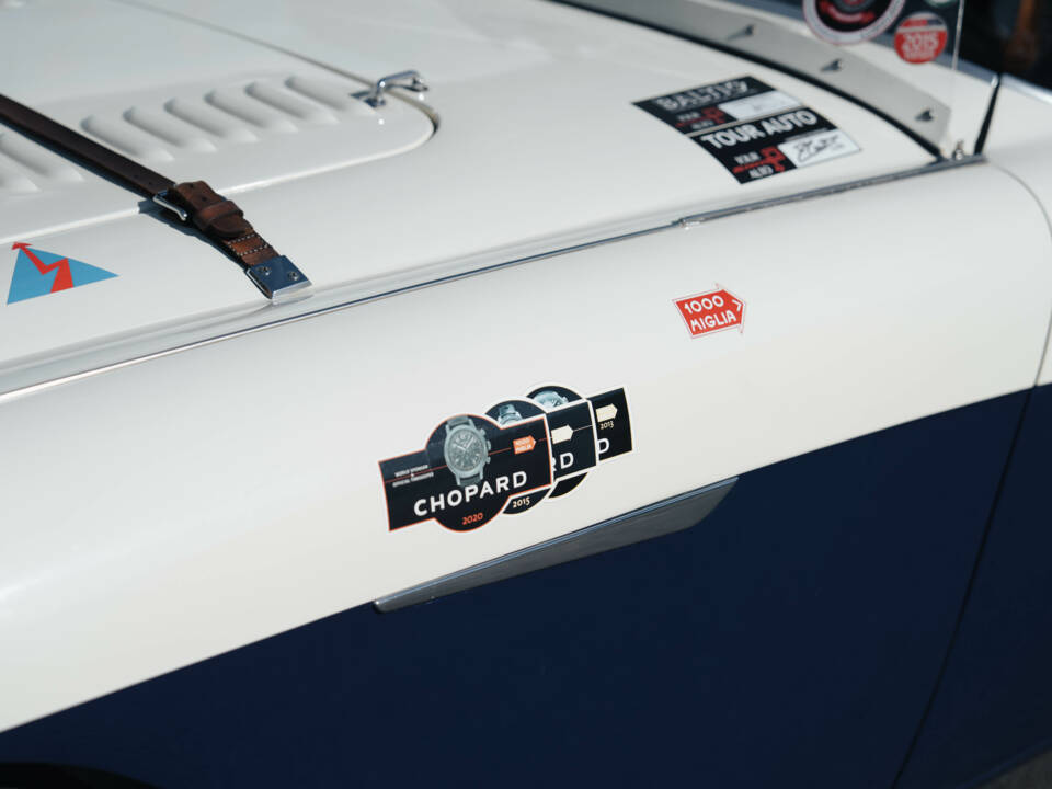 Image 18/50 of Austin-Healey 100 S (1955)