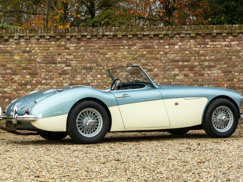 Imagen 50/50 de Austin-Healey 3000 Mk I (BN7) (1960)