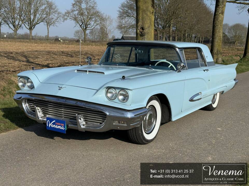 Image 1/21 of Ford Thunderbird (1959)