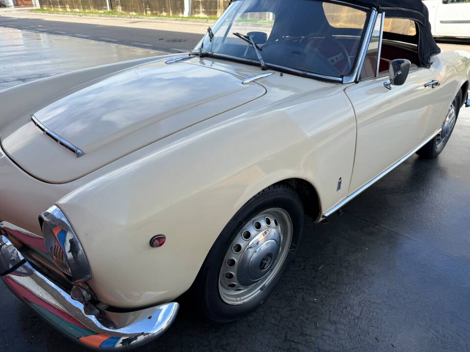 Bild 11/100 von Alfa Romeo Giulia 1600 Spider (1962)