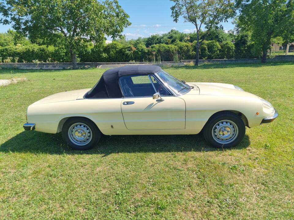 Bild 2/10 von Alfa Romeo 1600 Spider (1981)