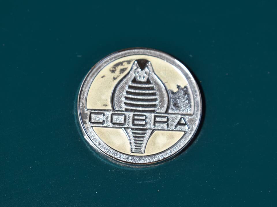 Image 25/39 of Hawk Cobra 289 (1968)