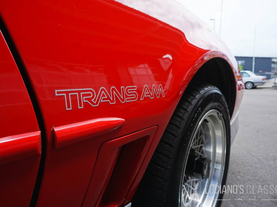 Bild 38/66 von Pontiac Firebird TransAm (1989)