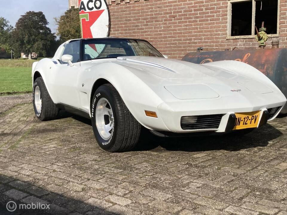 Afbeelding 28/50 van Chevrolet Corvette Sting Ray (1979)