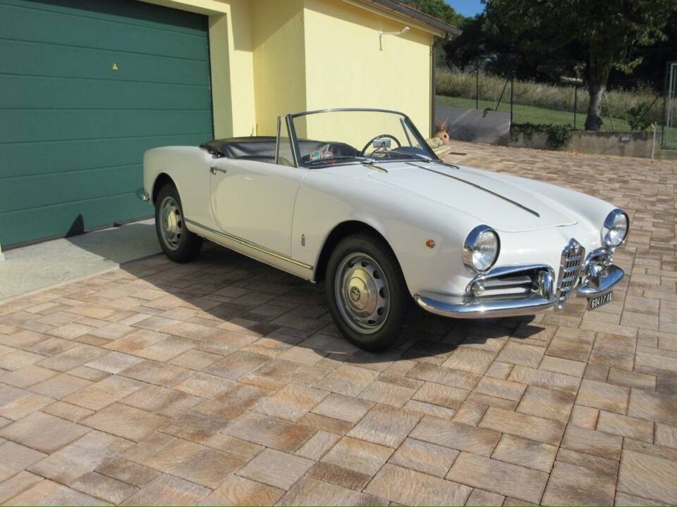 Bild 4/30 von Alfa Romeo Giulietta Spider (1961)