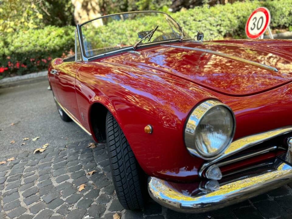 Afbeelding 1/18 van Alfa Romeo Giulietta Spider (1961)