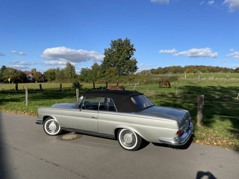 Bild 5/7 von Mercedes-Benz 280 SE (1969)