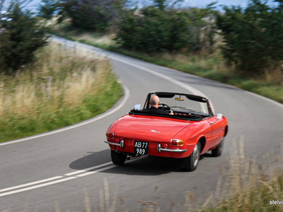 Afbeelding 32/37 van Alfa Romeo 1600 Spider Duetto (1966)