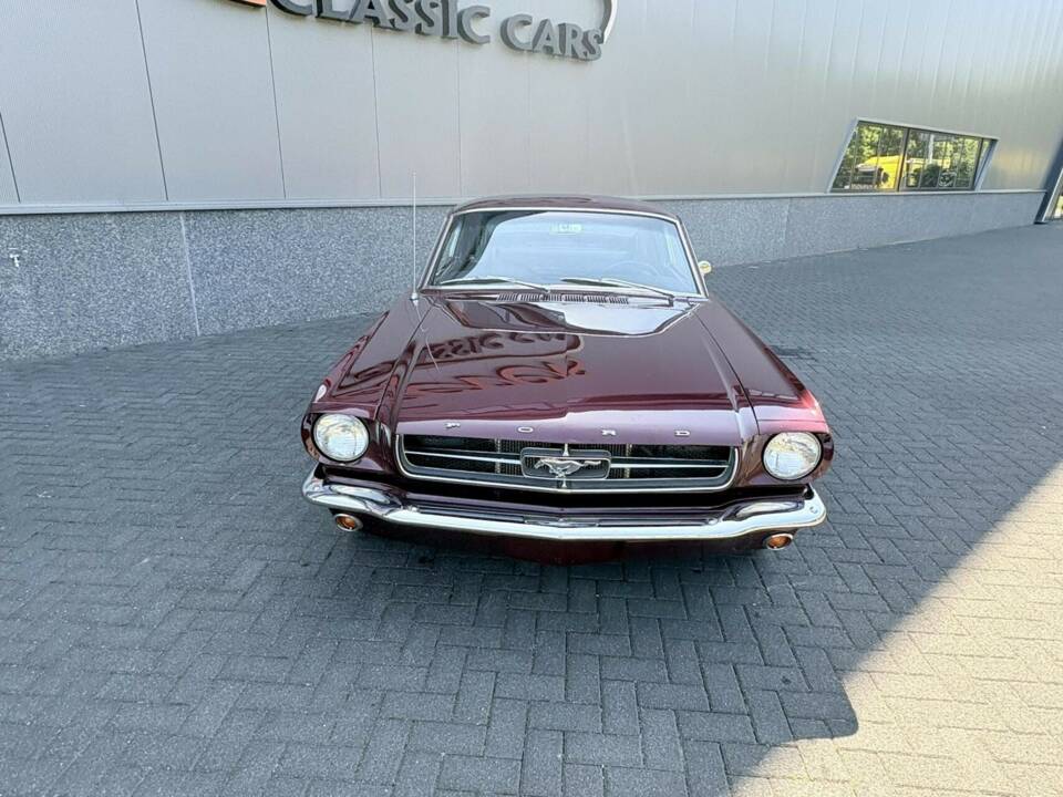 Immagine 19/50 di Ford Mustang 289 (1965)
