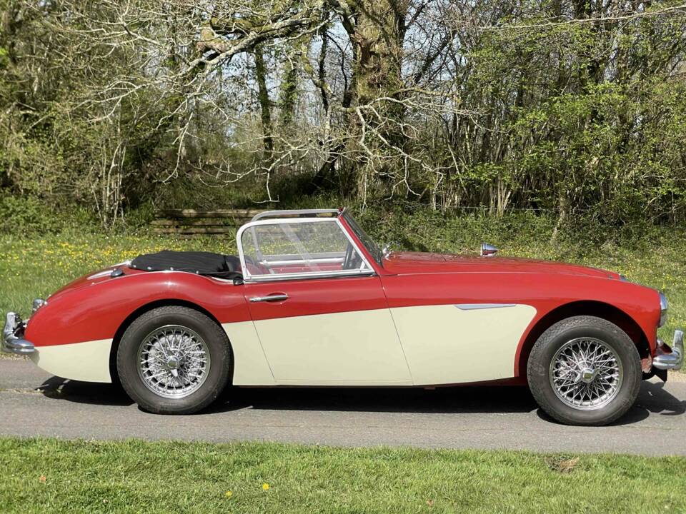 Bild 5/11 von Austin-Healey 3000 Mk I (BT7) (1959)