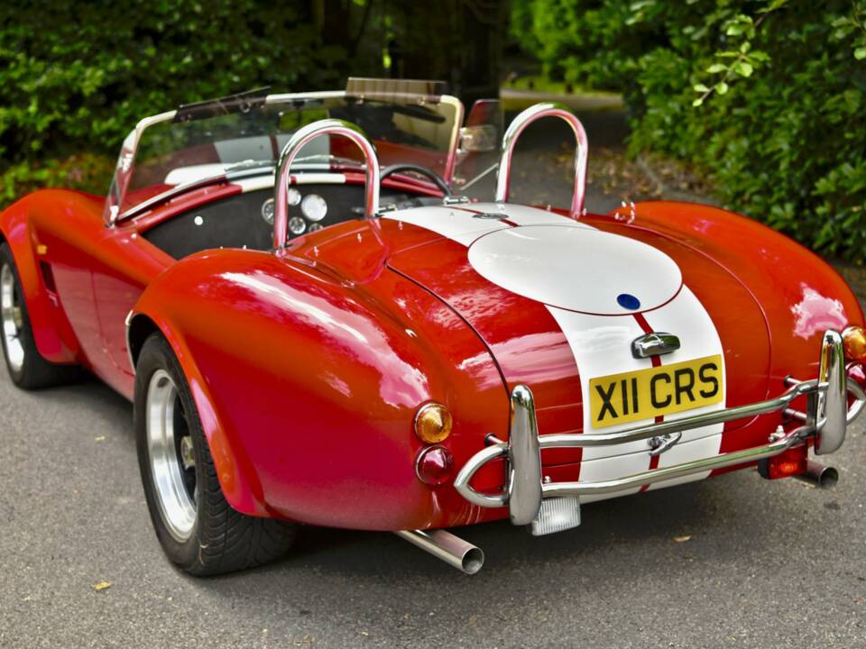 Bild 12/50 von AC Cobra 289 (2000)