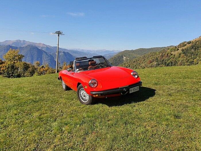 Bild 5/7 von Alfa Romeo 2000 Spider Veloce (2000)