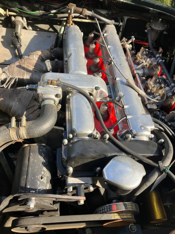 Imagen 5/45 de Tojeiro Halton (1955)