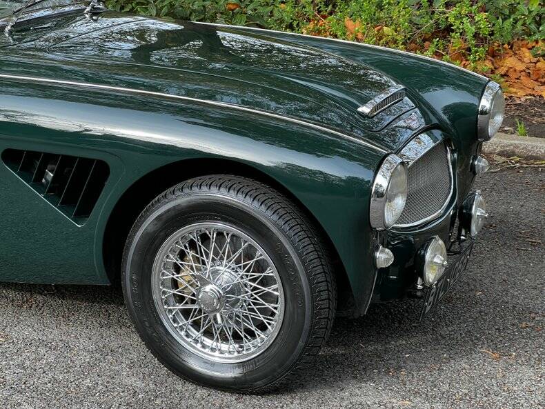 Imagen 24/50 de Austin-Healey 3000 Mk II (BJ7) (1964)