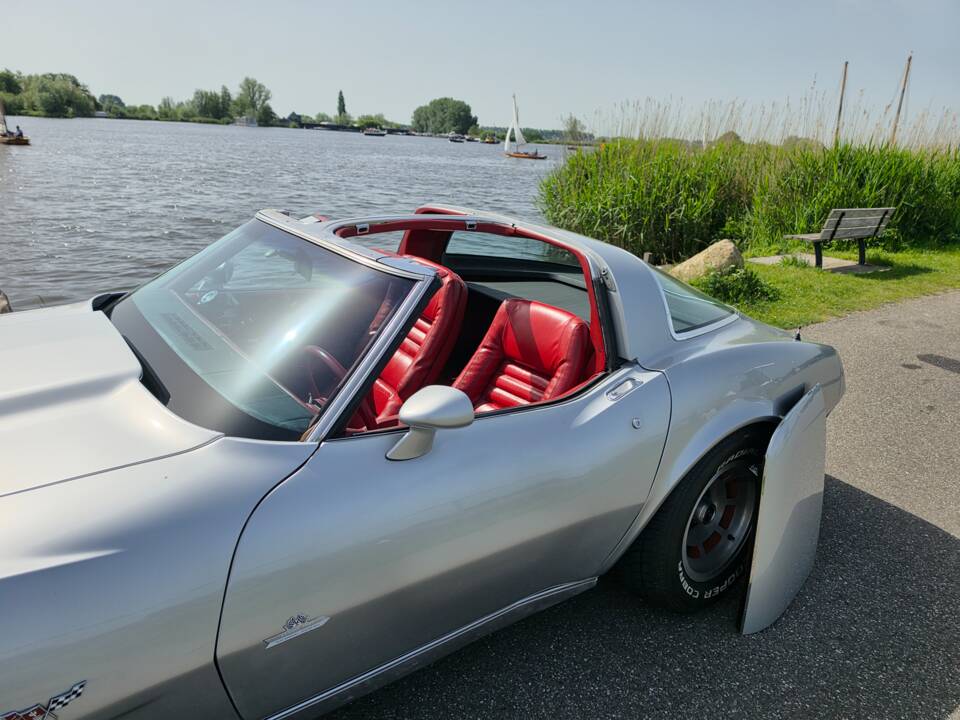 Bild 26/37 von Chevrolet Corvette 5.0L (1979)