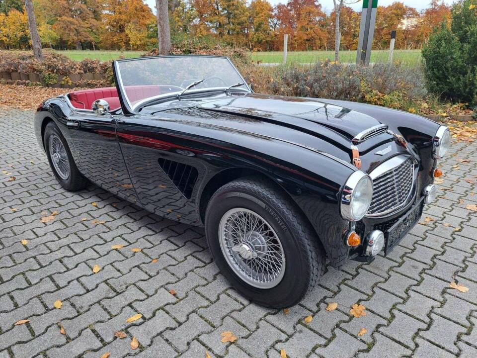 Bild 5/25 von Austin-Healey 100/6 (BN6) (1959)