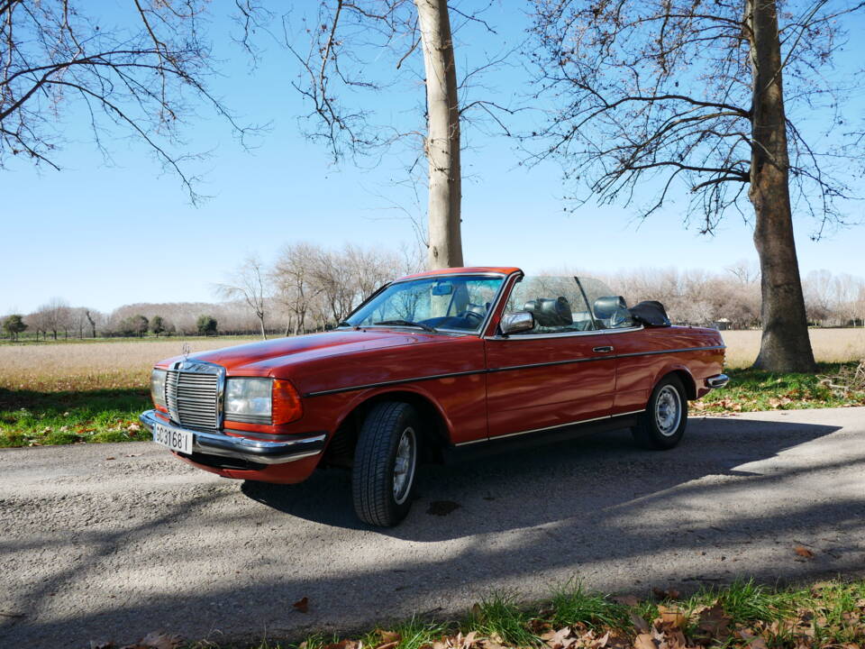 Image 9/29 de Mercedes-Benz 230 C (1977)