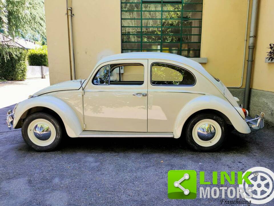 Bild 8/8 von Volkswagen Beetle 1200 Standard &quot;Dickholmer&quot; (1963)