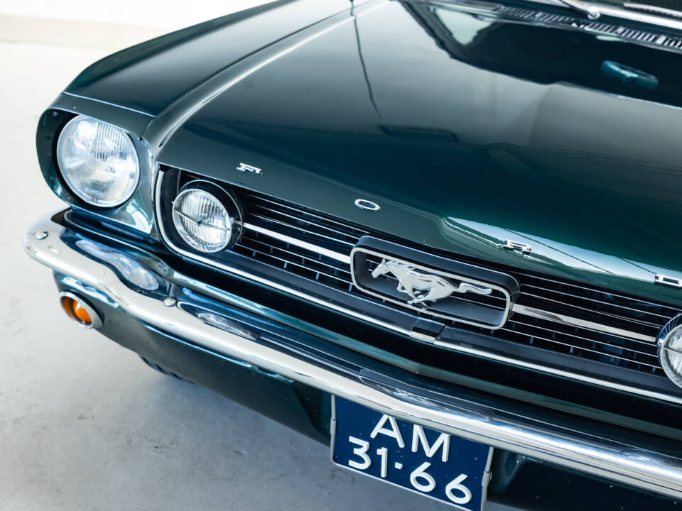Immagine 7/31 di Ford Mustang GT (1966)