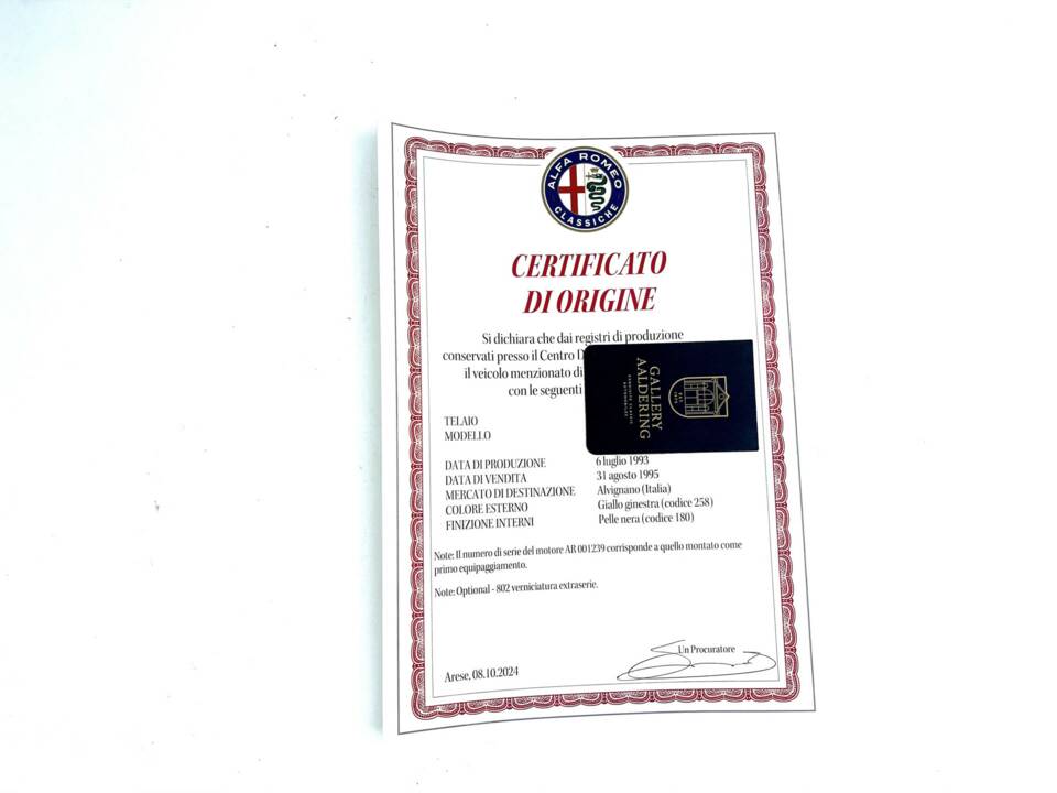 Afbeelding 17/50 van Alfa Romeo RZ (1993)