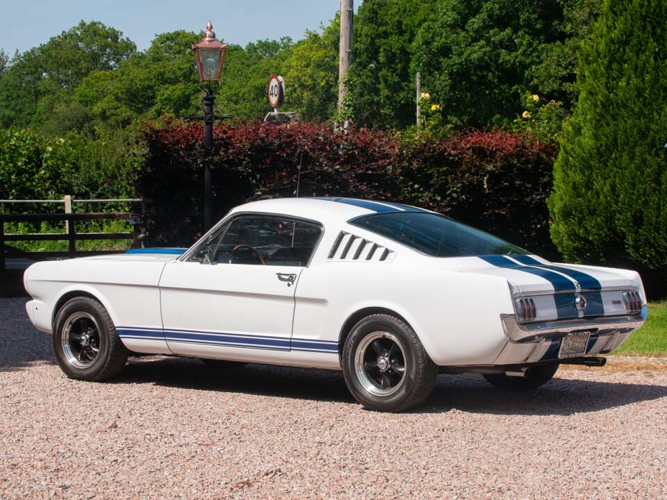 Bild 19/50 von Ford Shelby GT 350 (1965)