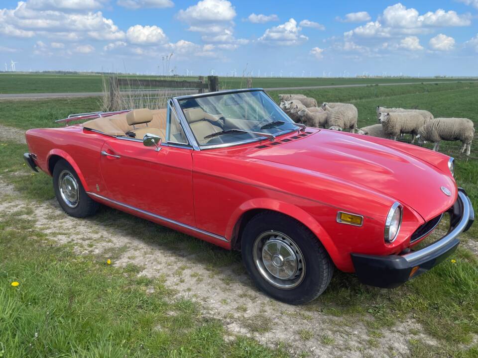 Image 3/17 of FIAT 124 Spider CS1 (1978)