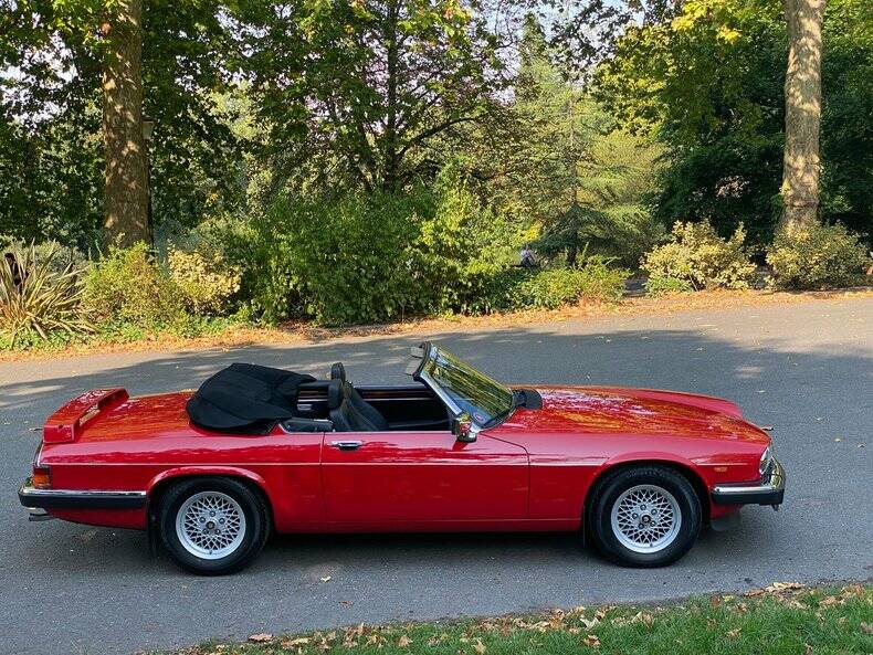 Image 15/50 de Jaguar XJ-S Convertible (1988)