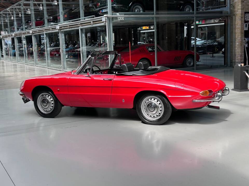 Immagine 7/30 di Alfa Romeo 1600 Spider Duetto (1966)