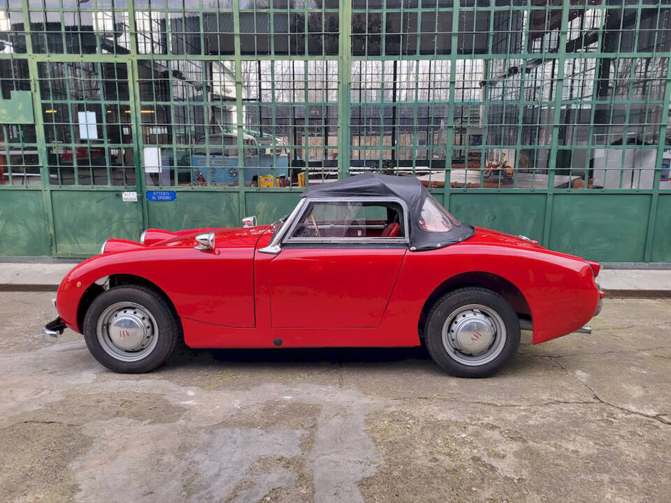 Image 26/51 of Austin-Healey Sprite Mk I (1960)