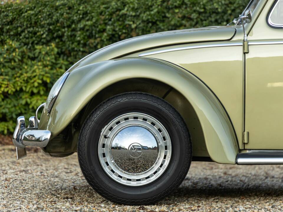 Bild 16/50 von Volkswagen Beetle 1200 Standard "Oval" (1956)