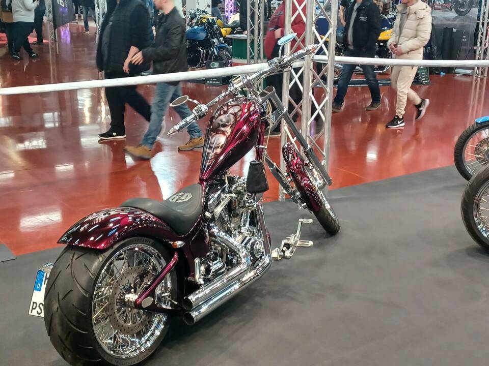 Bild 5/15 von Harley-Davidson DUMMY (2007)