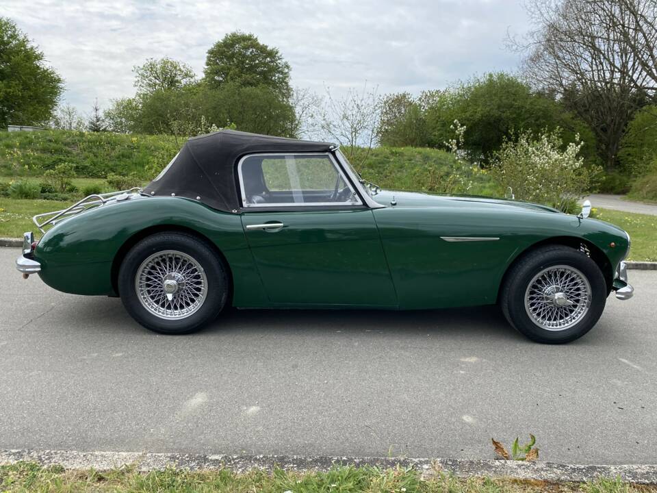 Bild 6/24 von Austin-Healey 100/6 (BN4) (1959)